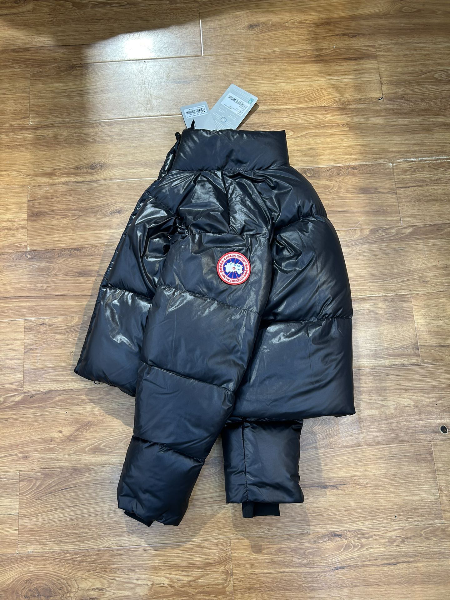 Canada Goose Down Feather Coat Long Sleeved For Women #1250969