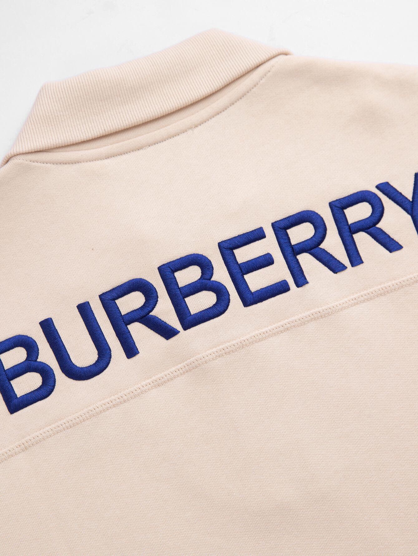 Burberry Hoodies Long Sleeved For Men #1265944